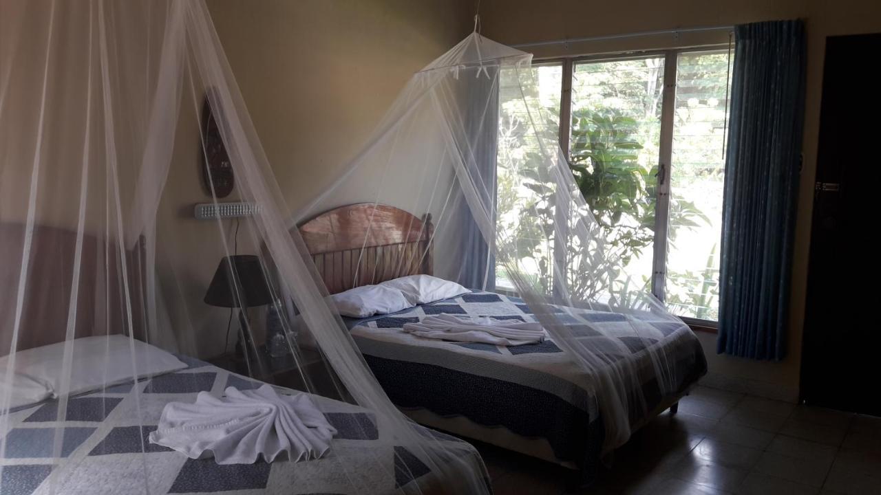 Hotel Tikal Inn מראה חיצוני תמונה