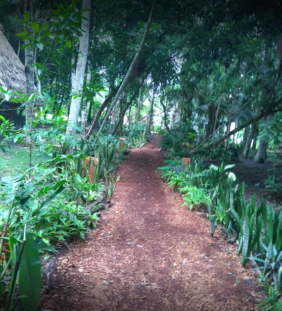 Hotel Tikal Inn מראה חיצוני תמונה