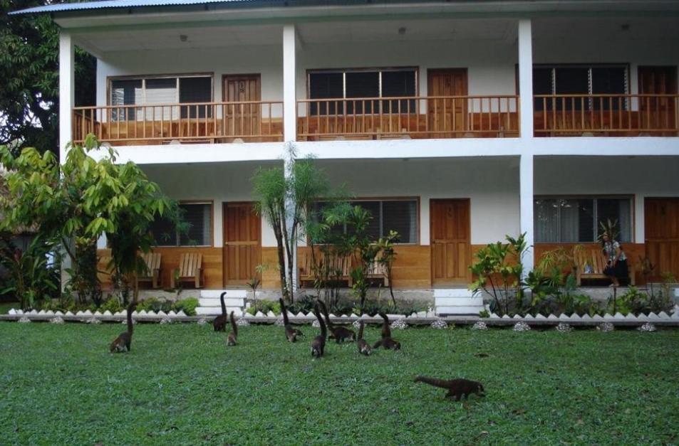 Hotel Tikal Inn מראה חיצוני תמונה