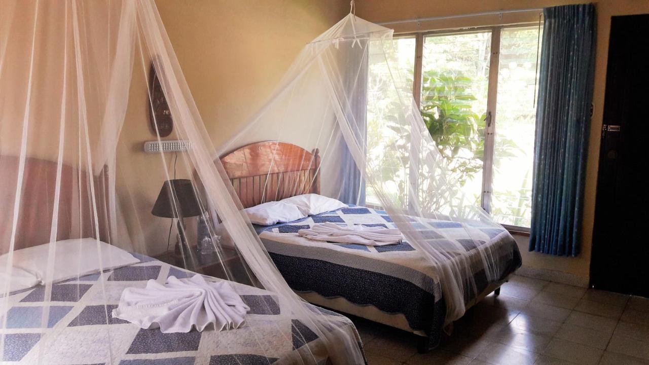 Hotel Tikal Inn מראה חיצוני תמונה
